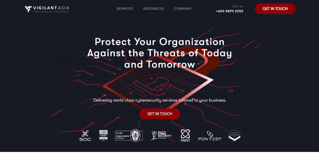 Vigilant Asia vulnerability assessment services